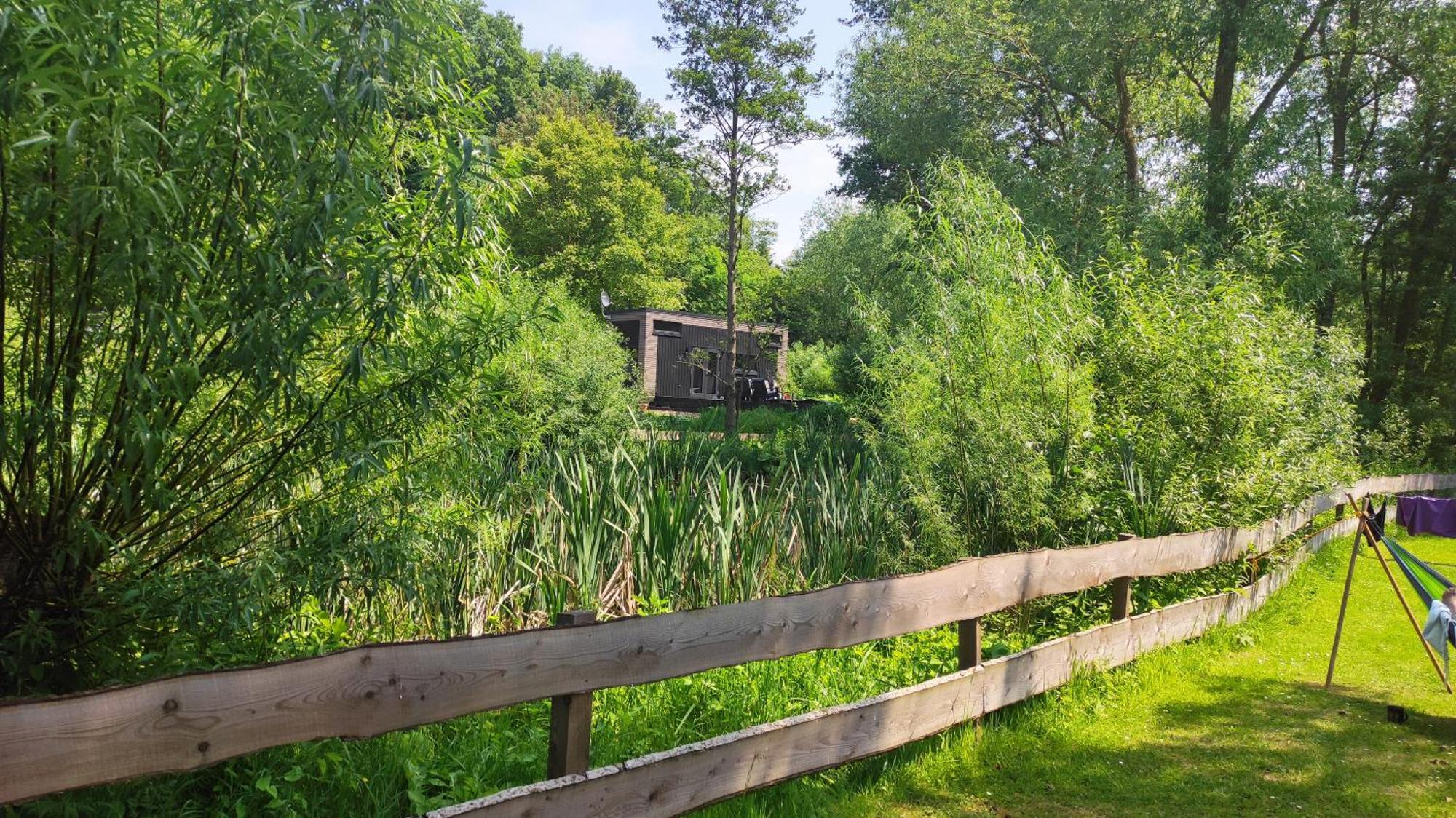 Tiny House 14 - Sollberg Villa Salzhemmendorf Exteriör bild