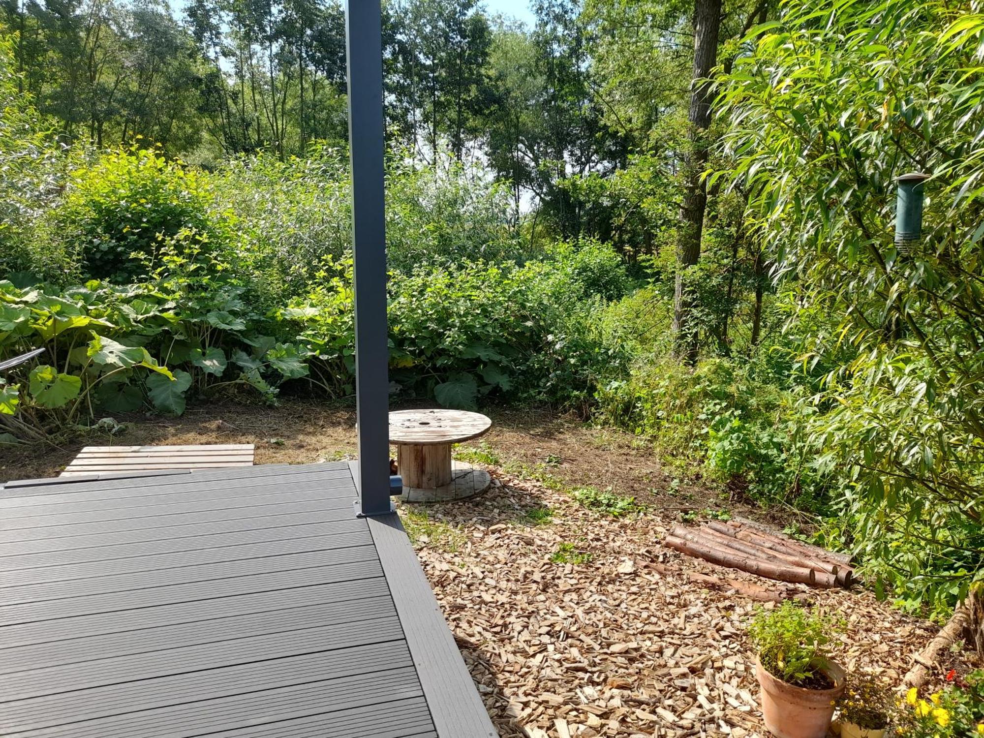 Tiny House 14 - Sollberg Villa Salzhemmendorf Exteriör bild